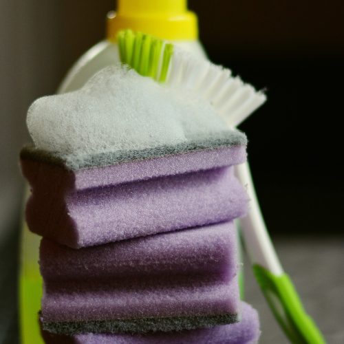 sponge, cleaning sponge, clean